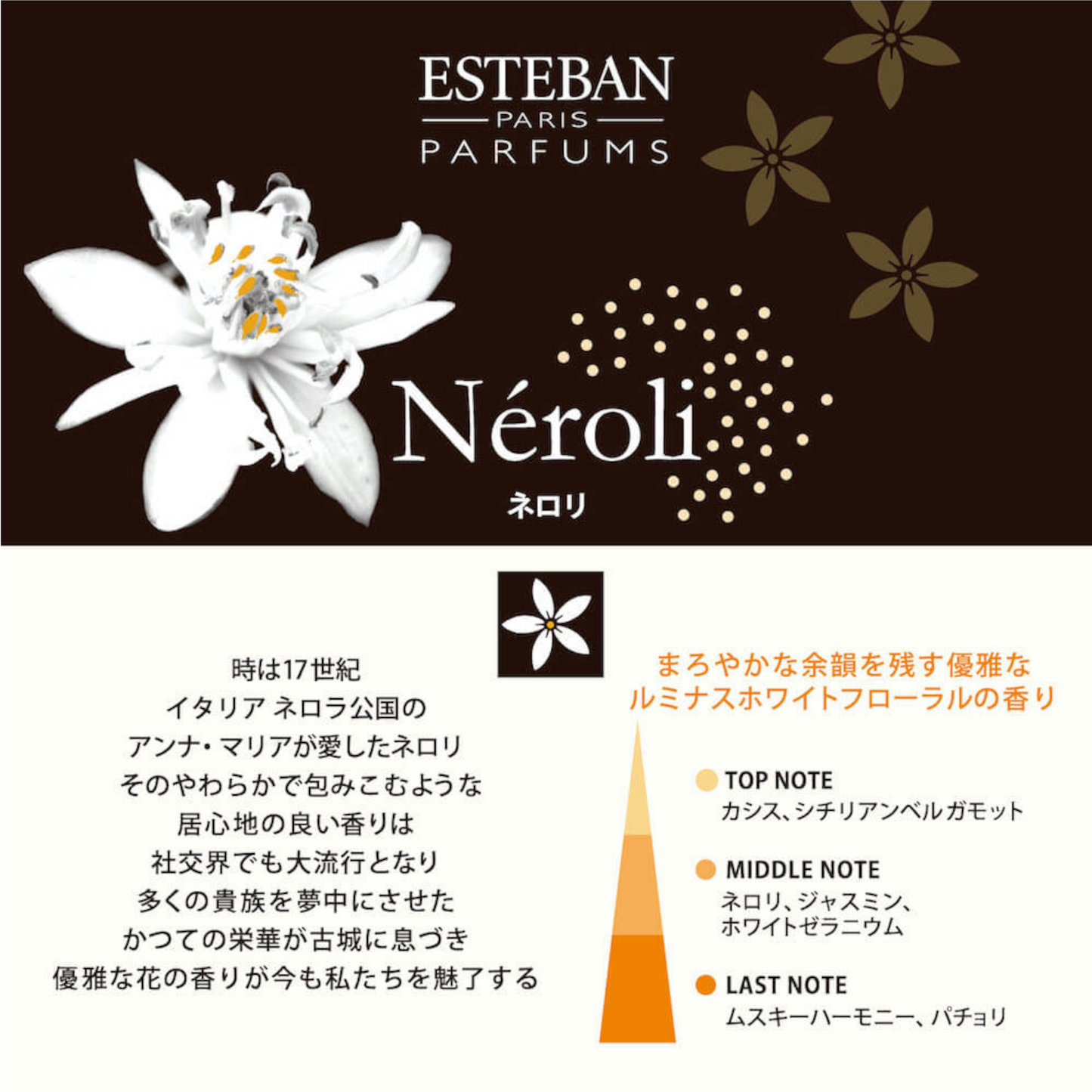 ESTEBAN スティック 40本 ネロリ