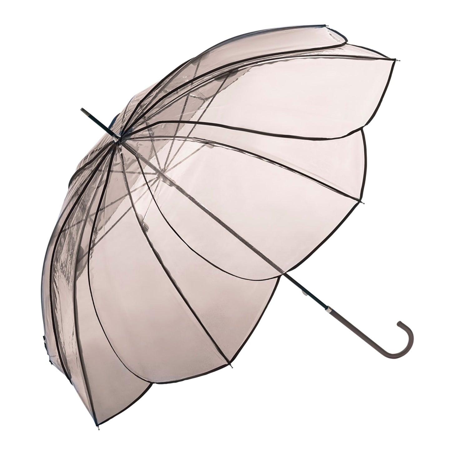 LONG UMBRELLAS Clear Color Piping Brown