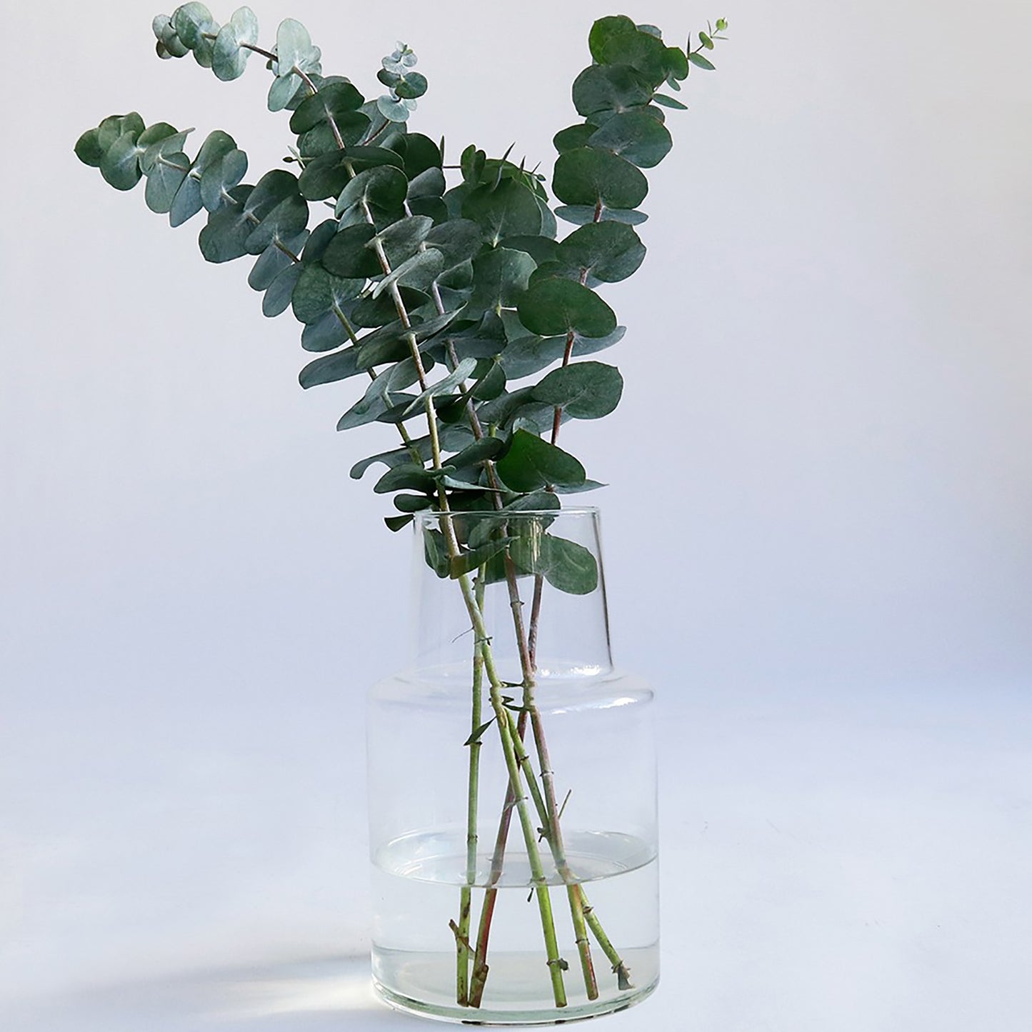 Crown Glass Coole Line Flower Vase Locate