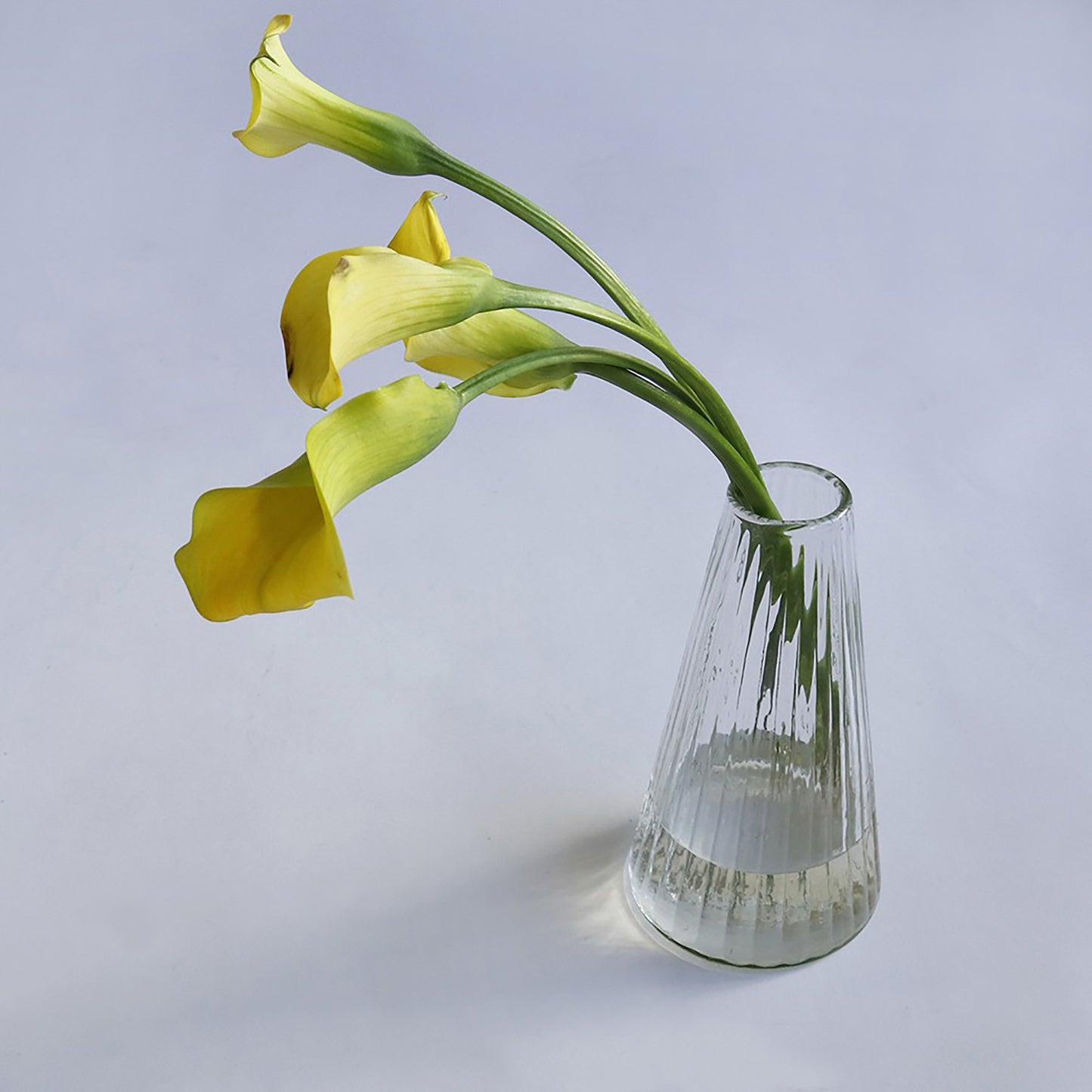 Crown Glass Cooleline Flower Vase Alp S