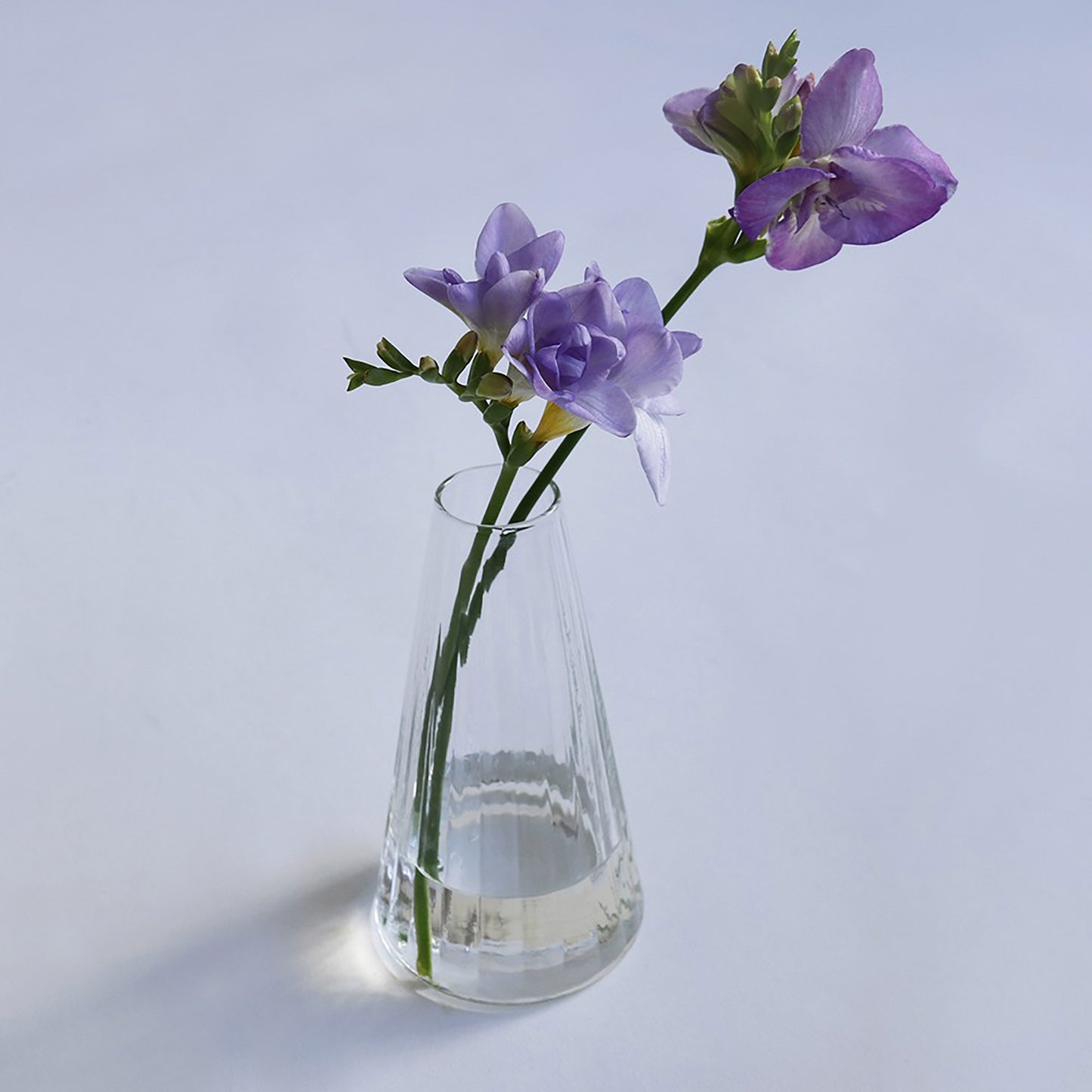 Crown Glass Cooleline Flower Vase Alp S
