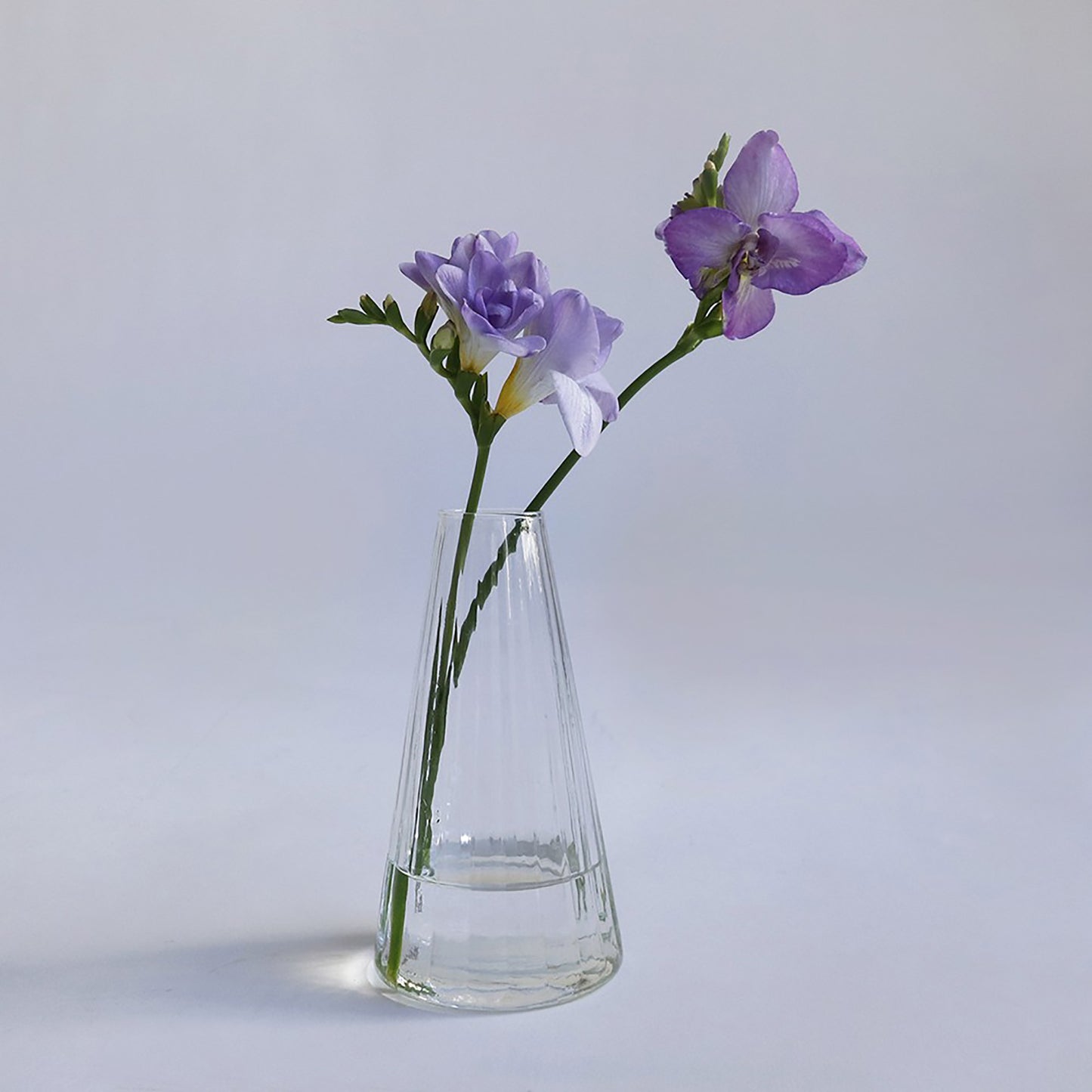 Crown Glass Cooleline Flower Vase Alp S