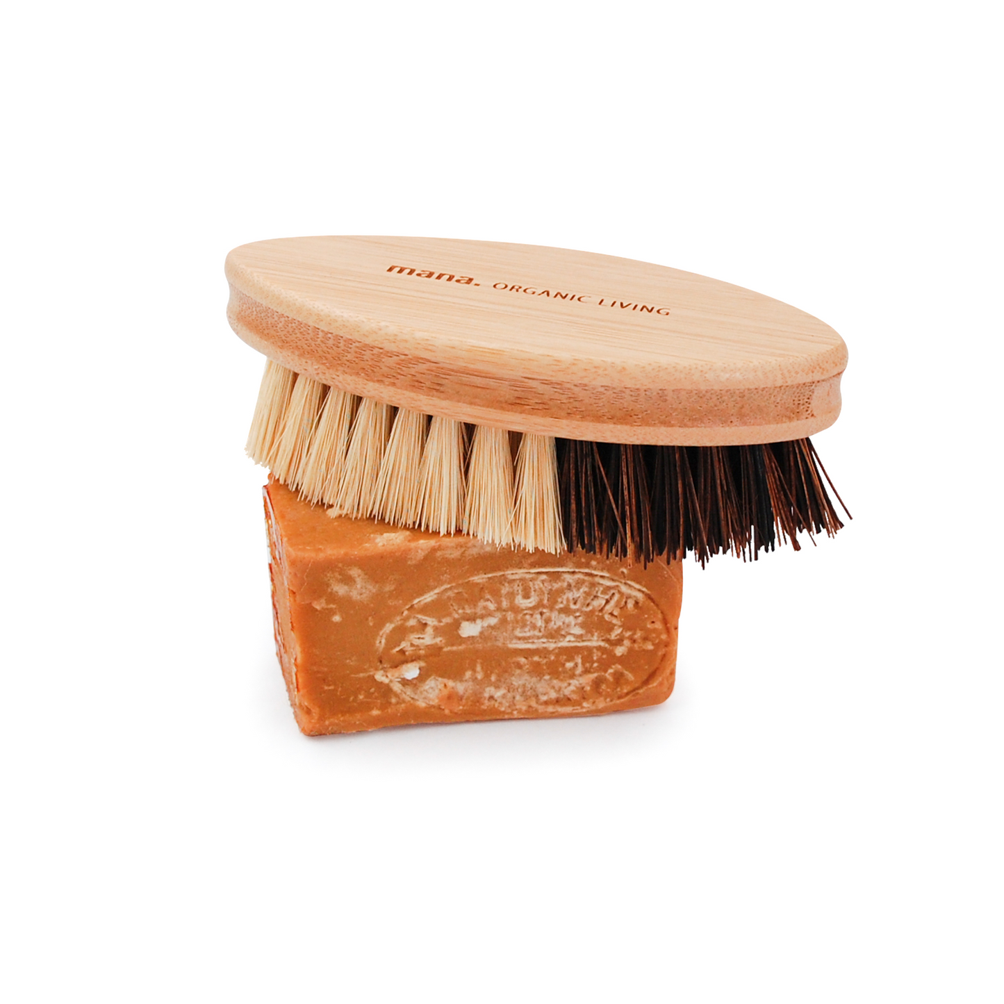 Eco Brush