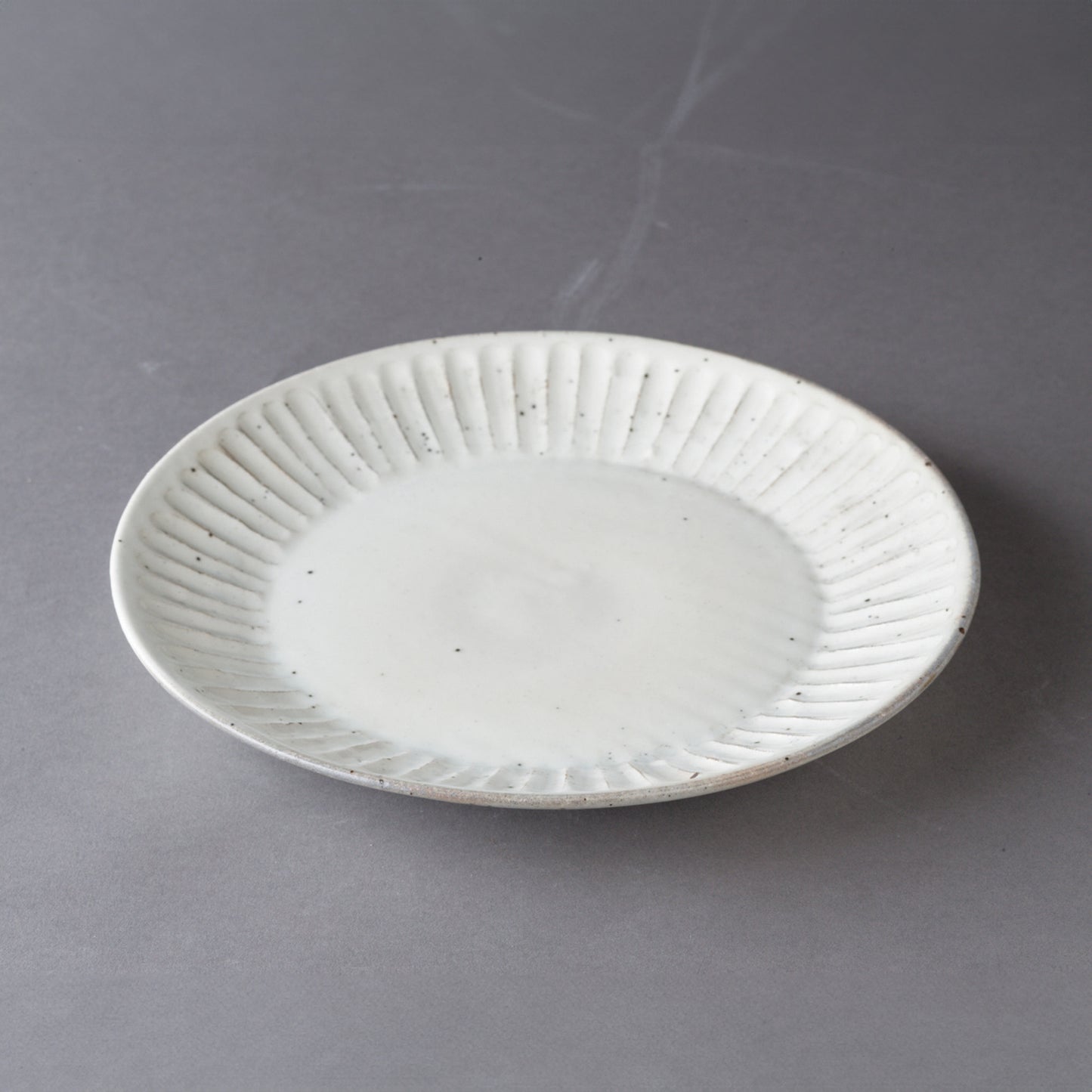 Powdered shave large plate