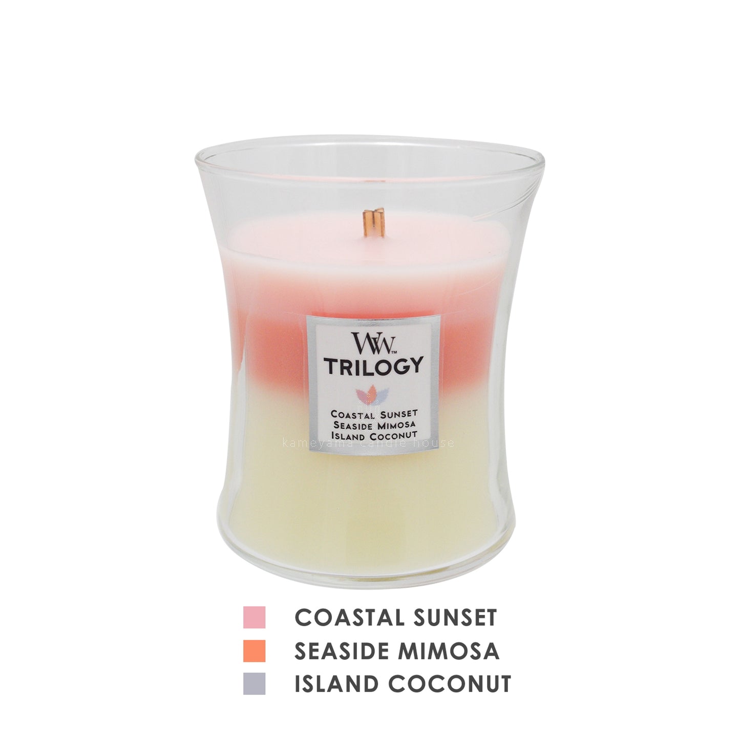 TORILOGY candle M Island Getaway