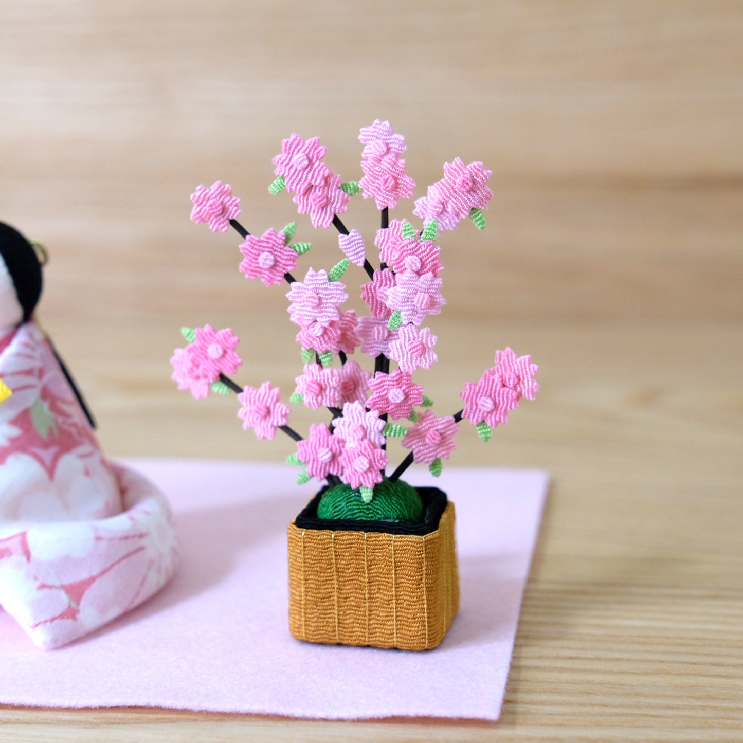 Large young chick with cherry blossoms and oranges