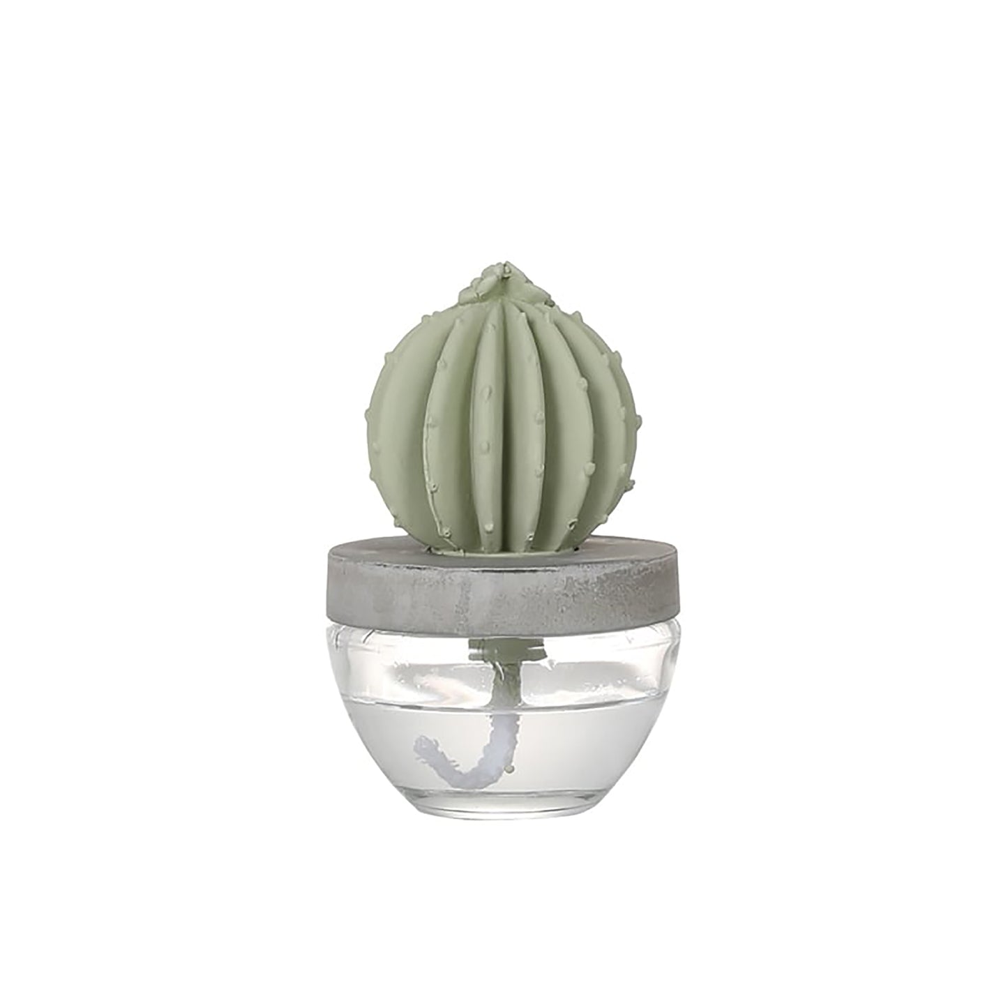 Cactus fragrance diffuser (C) WF