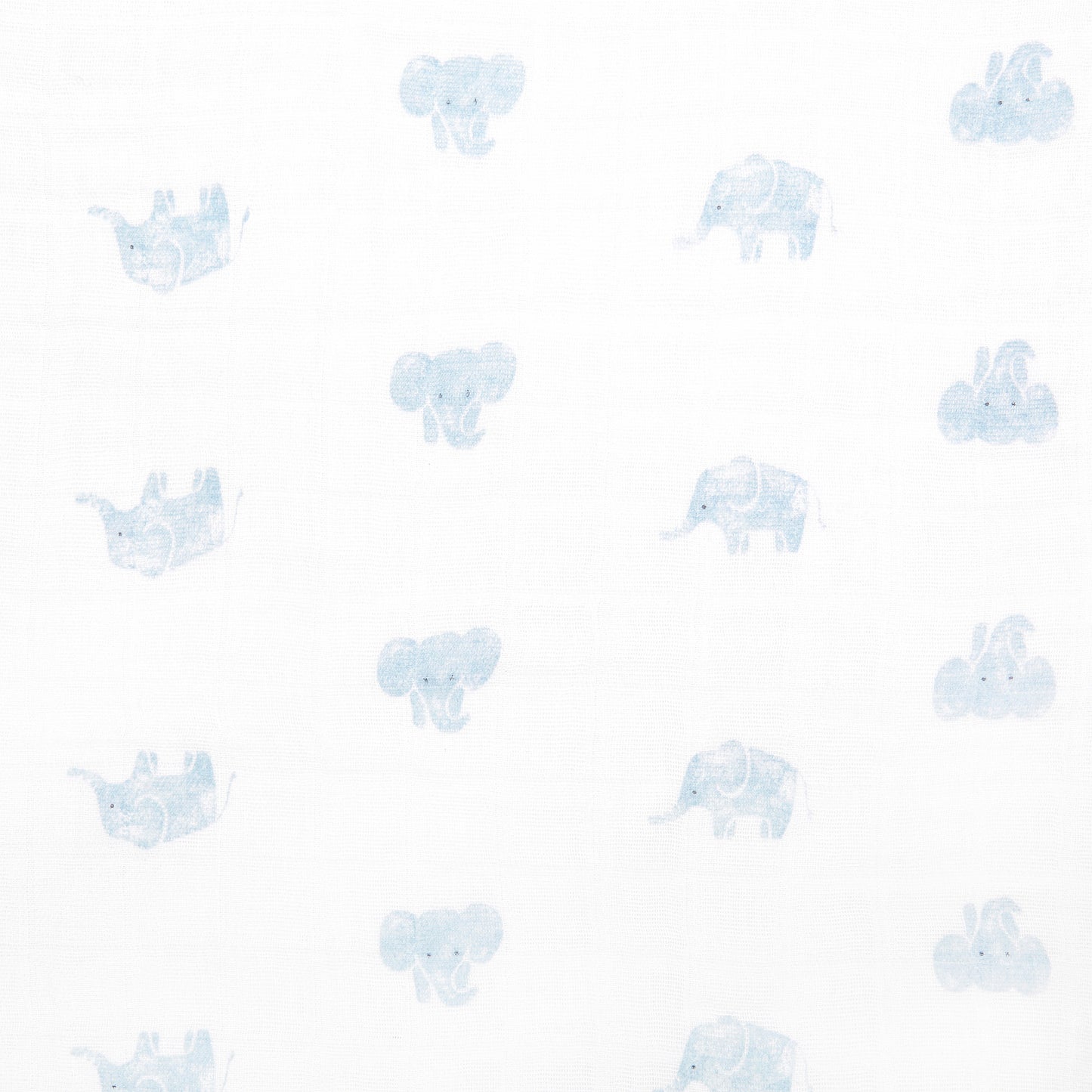 Dream Blanket