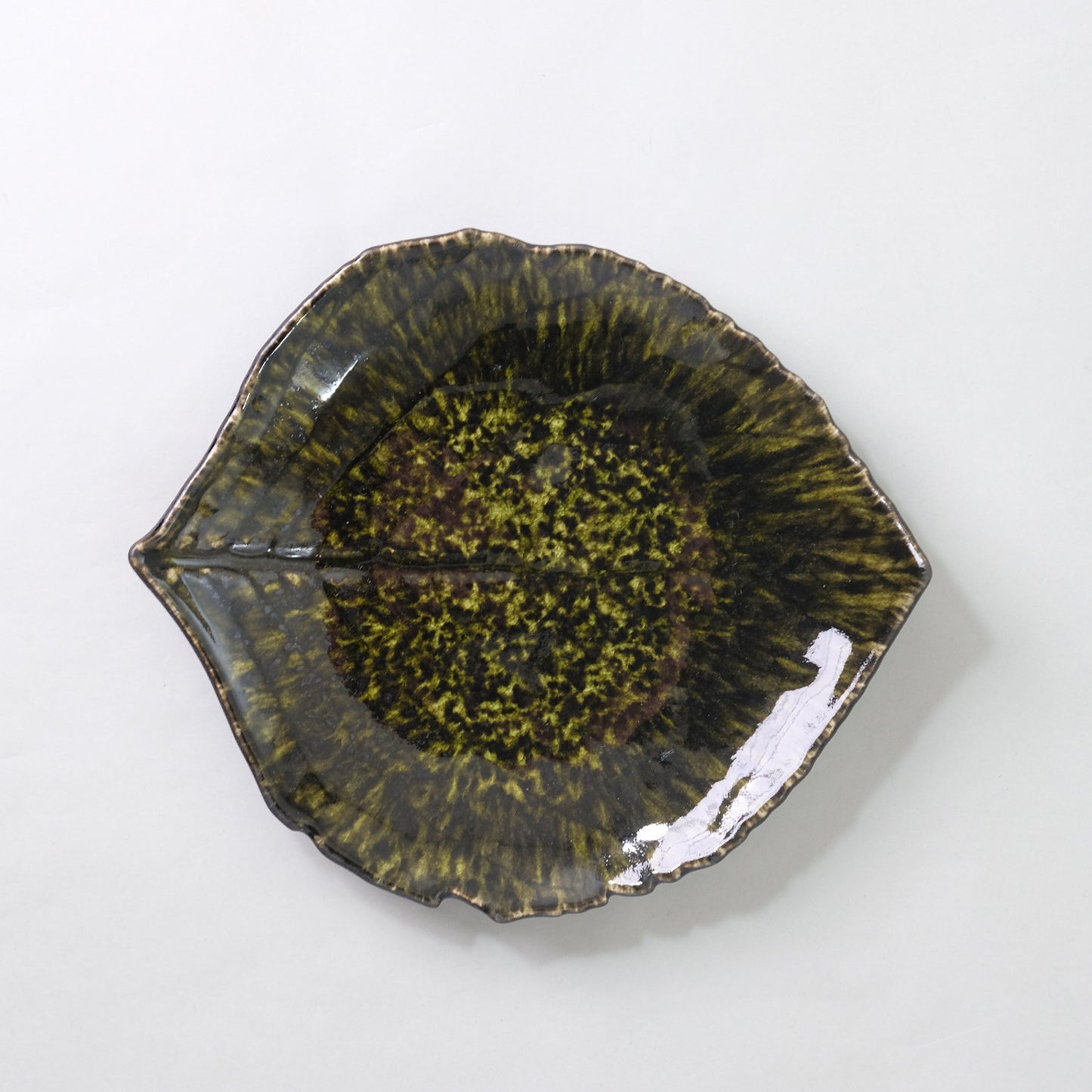 RIVIERA FORETS Hydrolandia Reef S