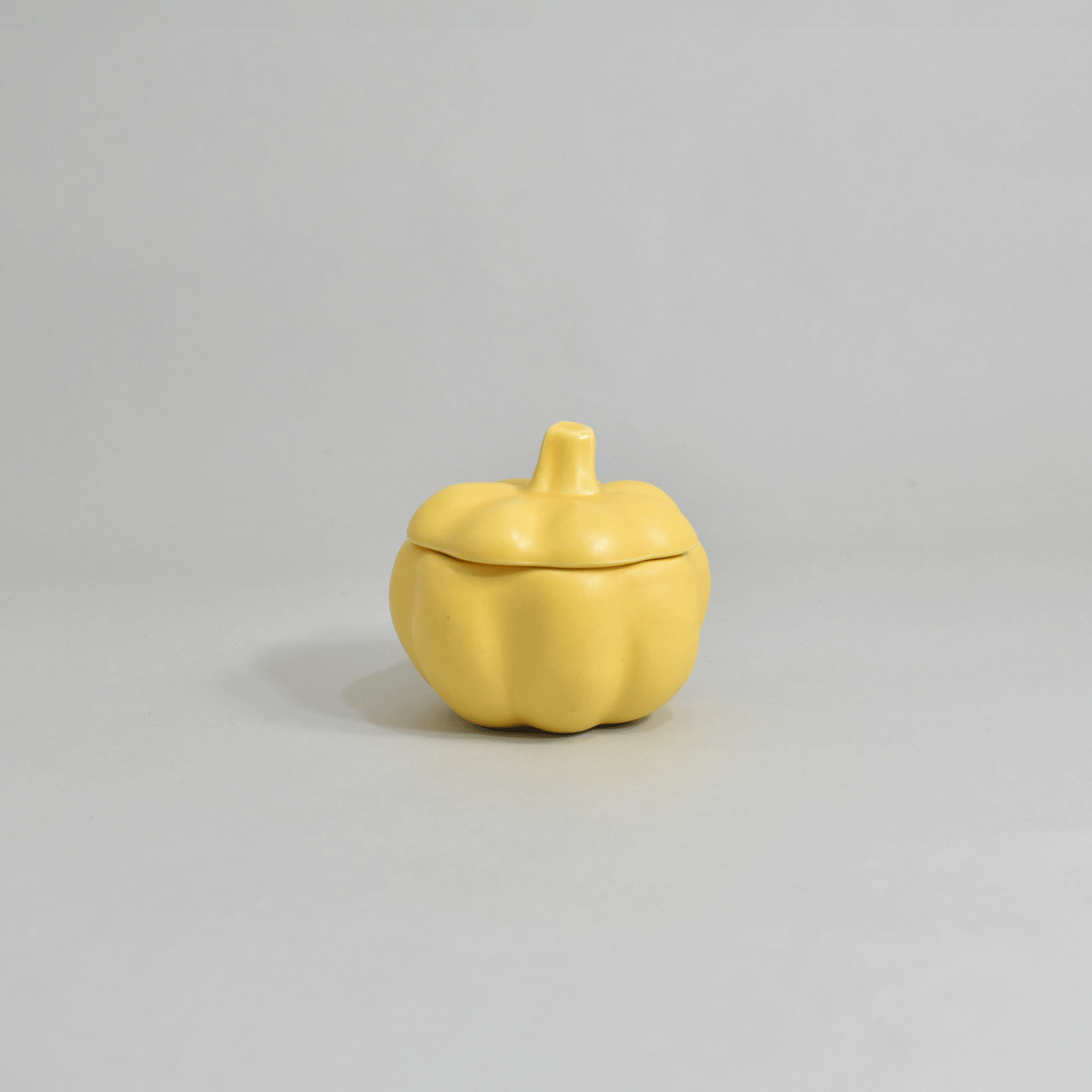Pumpkin Cocotte SY