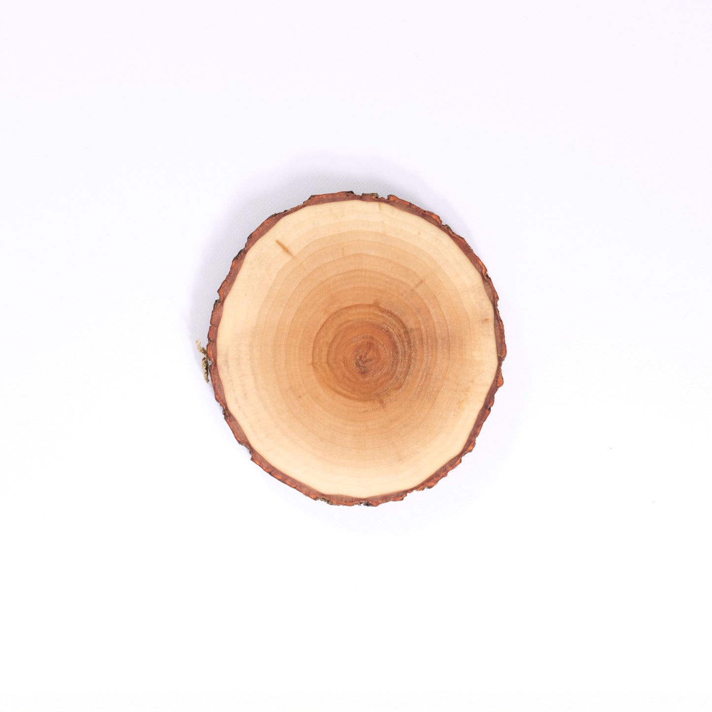 WOOD COASTER OAK
