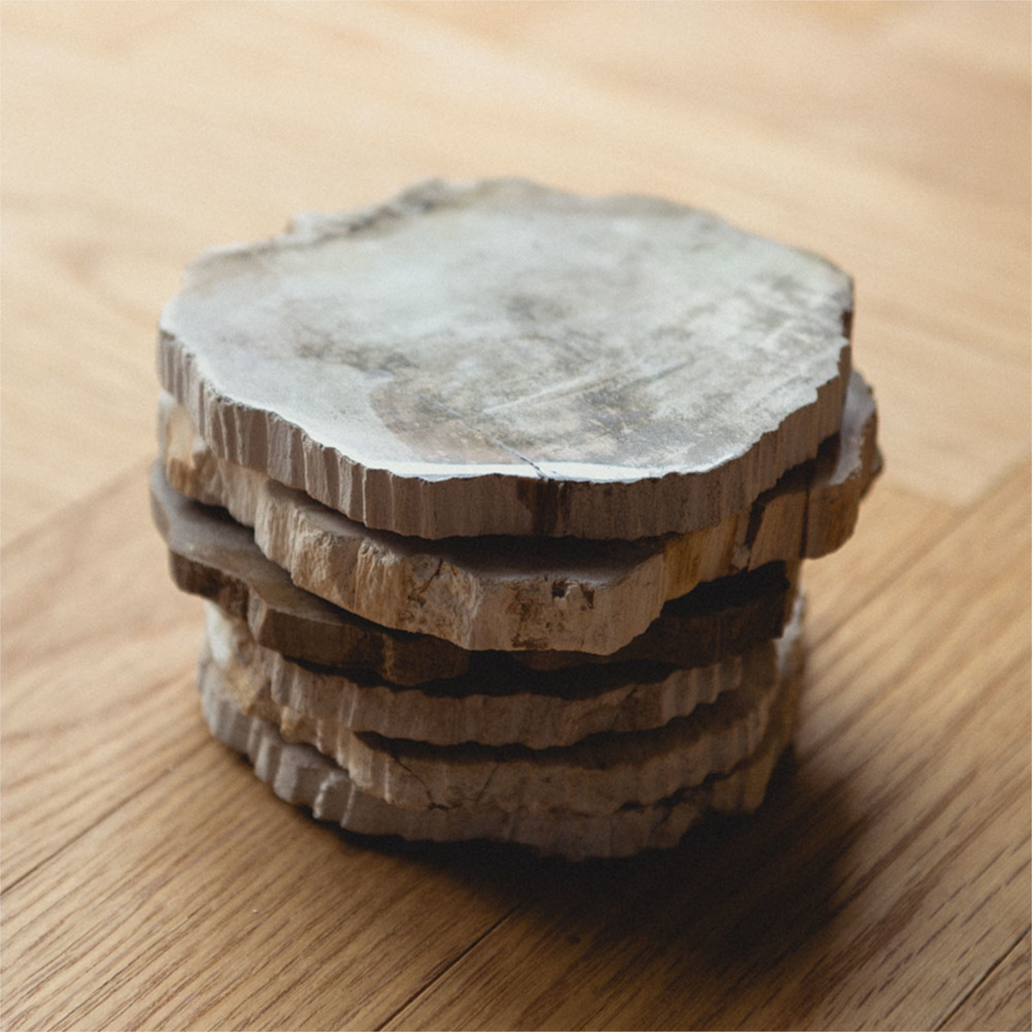 WOOD COASER