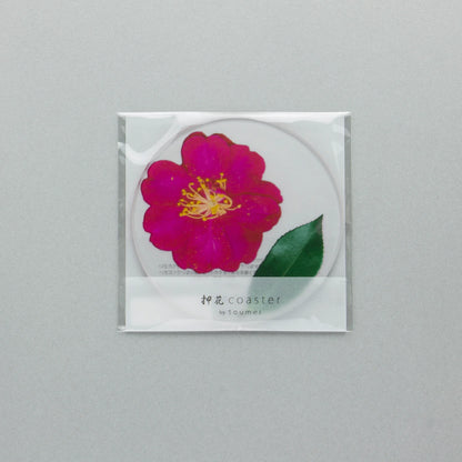 押花 コースター 山茶花