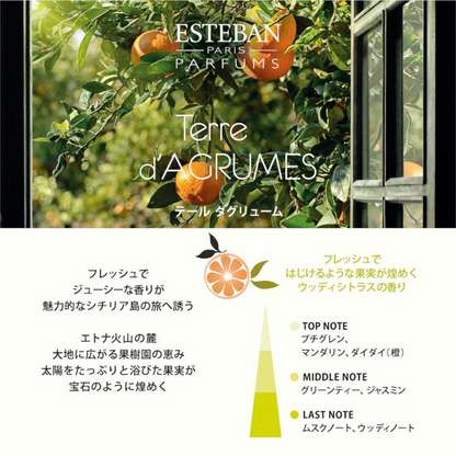 ESTEBAN オイル テール
