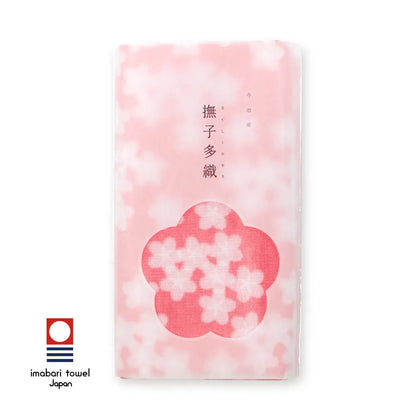 Nadeshiko Taori