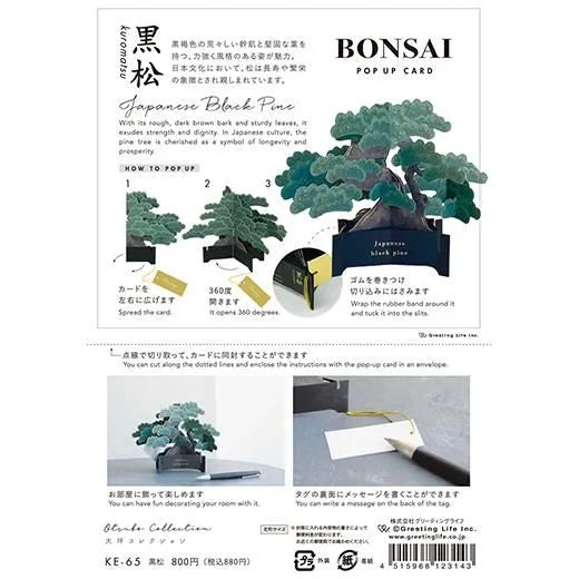 BONSAIポップアップカード　黒松