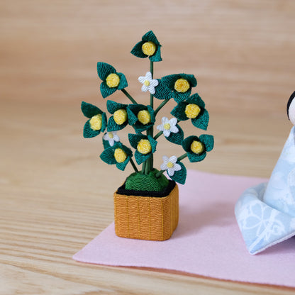 Large young chick with cherry blossoms and oranges