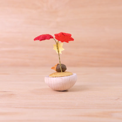 ゆらゆら紅葉 秋の実り どんぐり