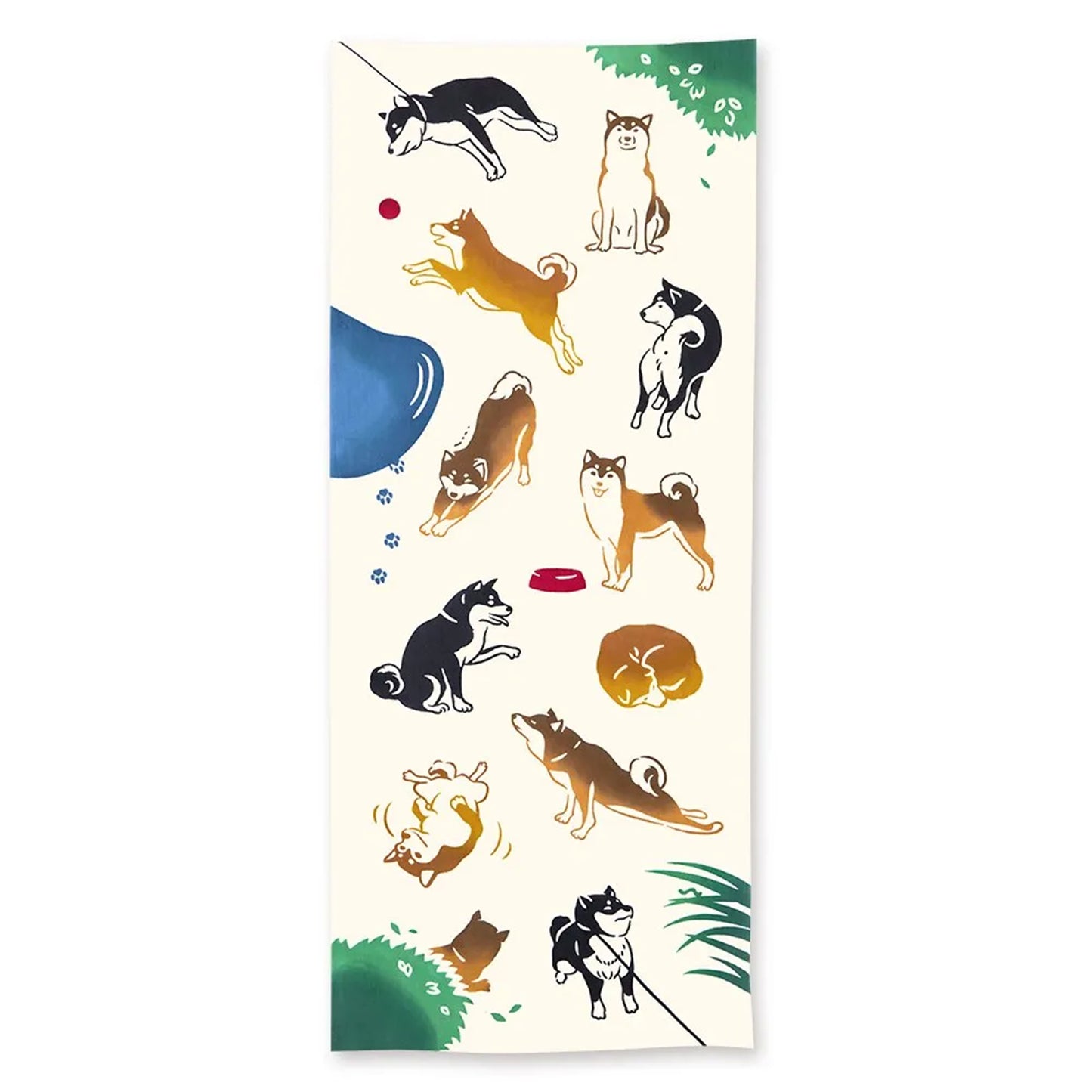 kenema テヌグイ 今日の柴犬