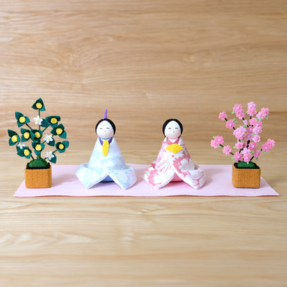 Large young chick with cherry blossoms and oranges