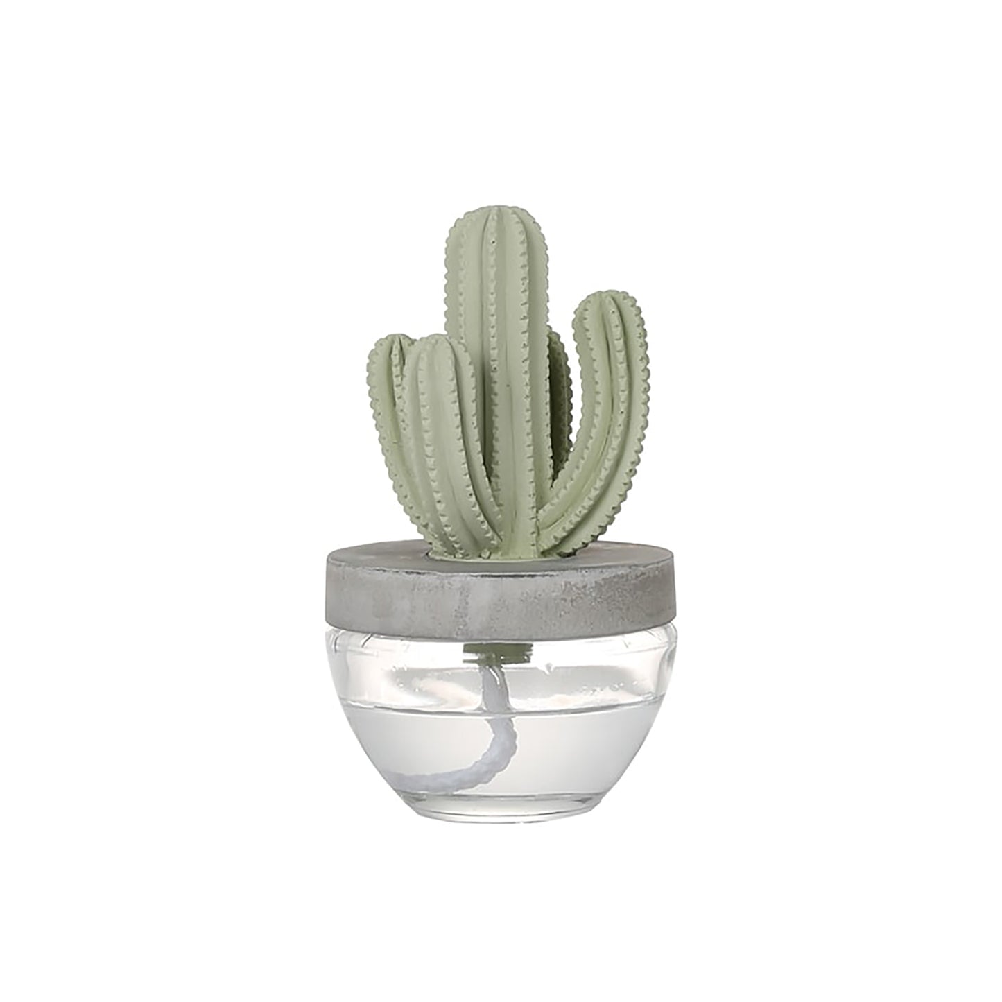 Cactus fragrance diffuser (B) OB