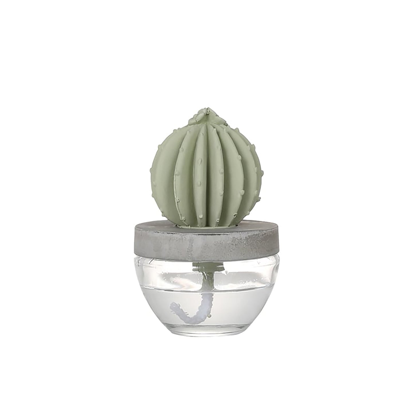 Cactus fragrance diffuser C) WF