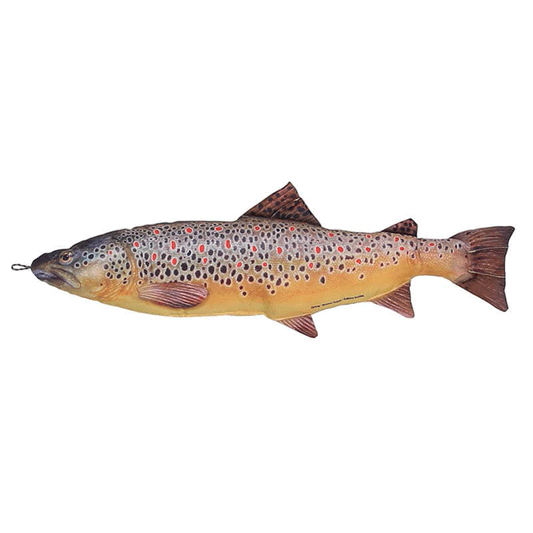 Brown trout70