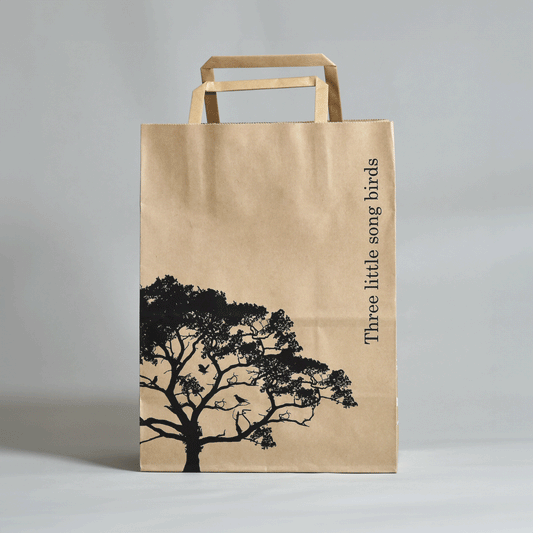 TLSB Paper Bag