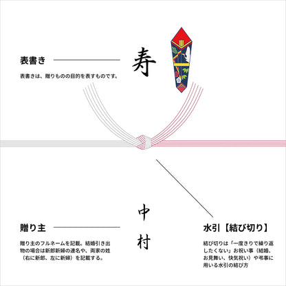 熨斗 - 紅白結び切り